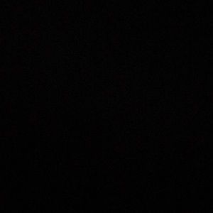 Meet your Posher, Whitney